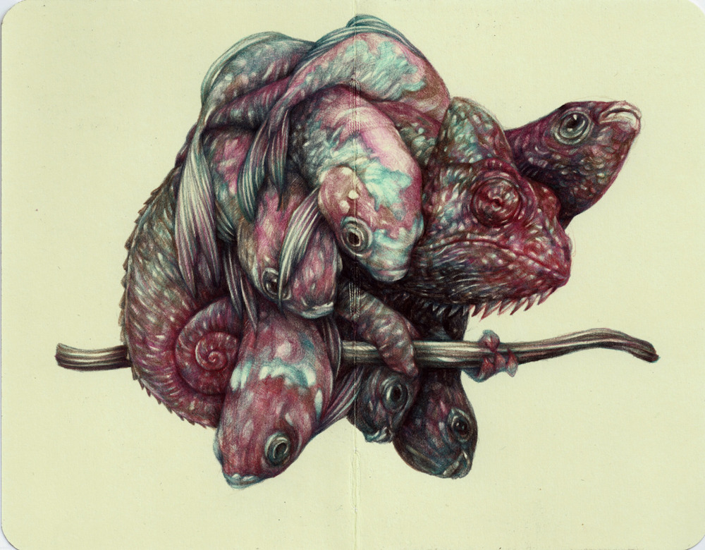 marco mazzoni pencil drawing