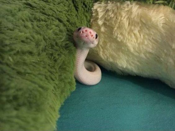 Terrible Truth About The Web