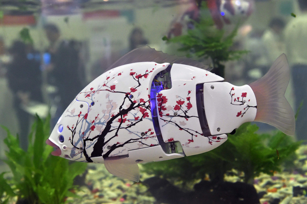 Terrible Truth About The Web