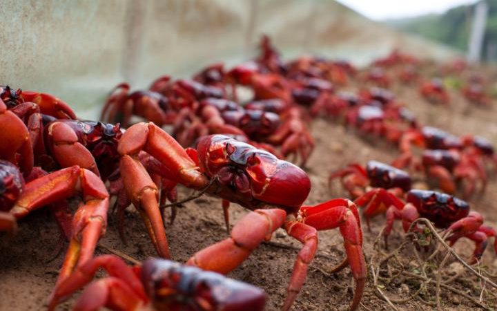 Terrible Truth About The Web