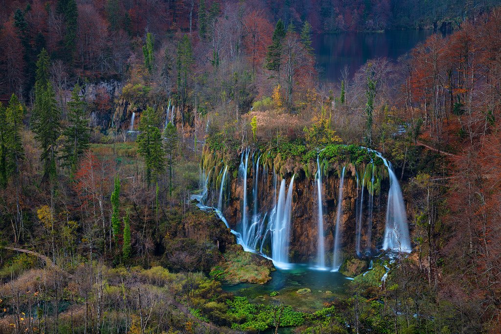 Terrible Truth About The Web