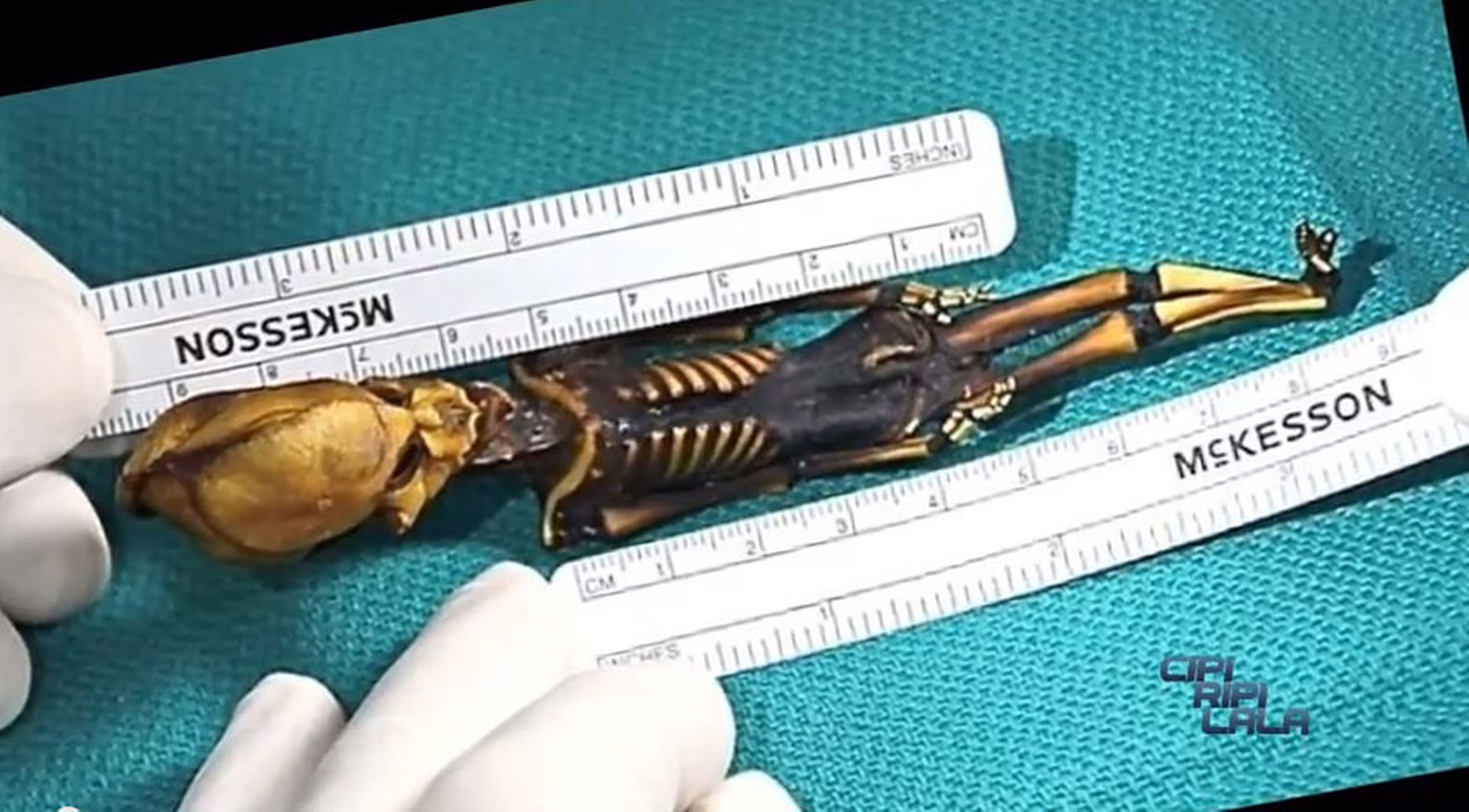 Scientists puzzled: A alien-looking skeleton was found in the Atacama Desert