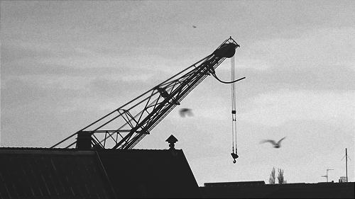 Captivating Infinite Motion Gifs