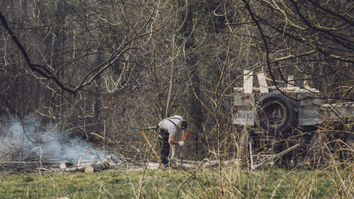 Captivating Infinite Motion Gifs