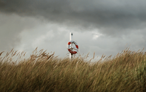 Captivating Infinite Motion Gifs