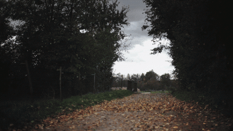 Captivating Infinite Motion Gifs