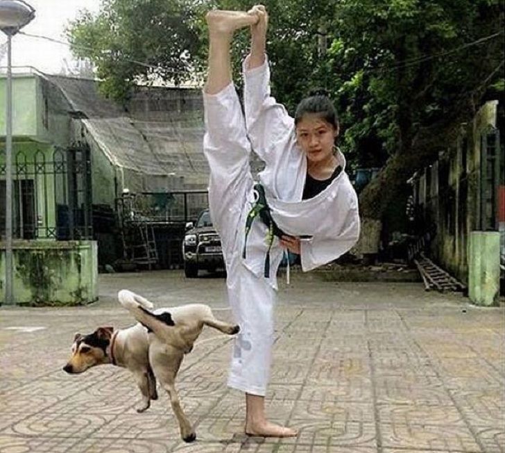 Girl in Karate outfit and a dog showing off his skills too.