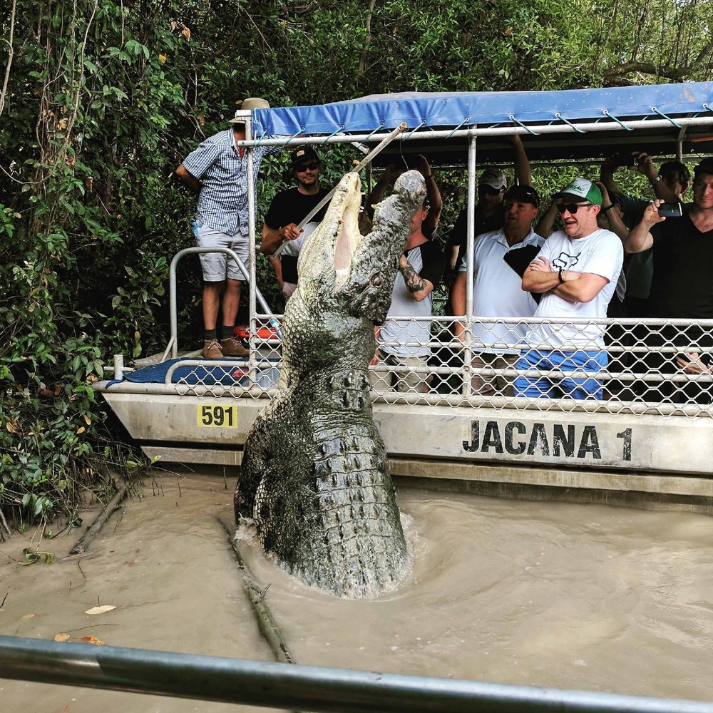 fascinating photos - 20ft croc - F 591 Jacana 1