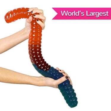 Who says size doesn't matter?! Feast your eyes on the World's Largest Gummy Worm. This giant gummy worm is a gigantic 3lb. creature created from two delicious flavors cherry and blue raspberry. At 26 inches long, forget cake, this giant gummy worm would be a great party pleaser.