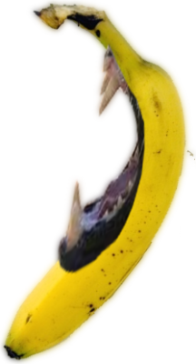 Eat Me Or Be Eaten! Banana says!