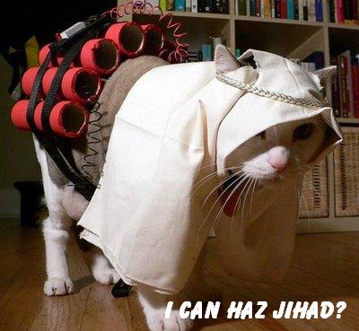 I can haz jihad?