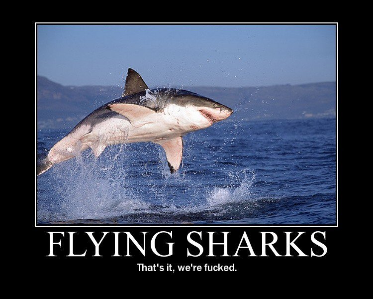 Flying Sharks, Tanks, Cats, and Dogs