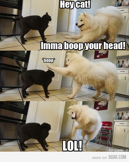 The galleria of jewelery, na jk just pictures.