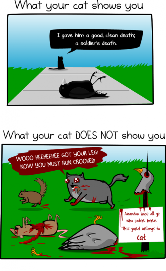 How much do cats kill??