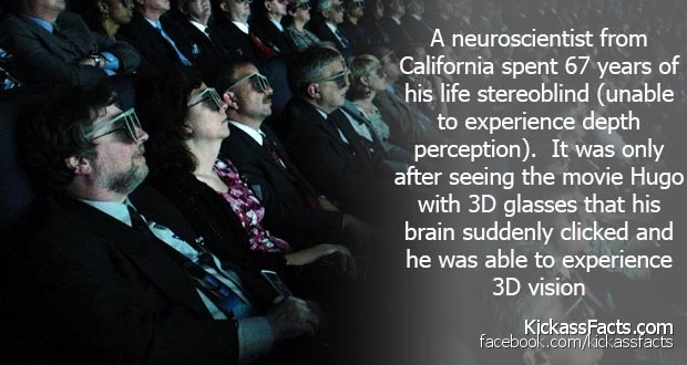 3d imax - A neuroscientist from California spent 67 years of his life stereoblind unable to experience depth perception. It was only after seeing the movie Hugo with 3D glasses that his brain suddenly clicked and he was able to experience 3D vision Kickas