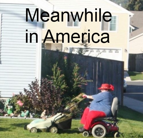 Why even bother to mow your lawn?