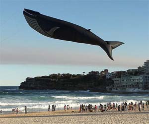 Lifesize Whale Kite