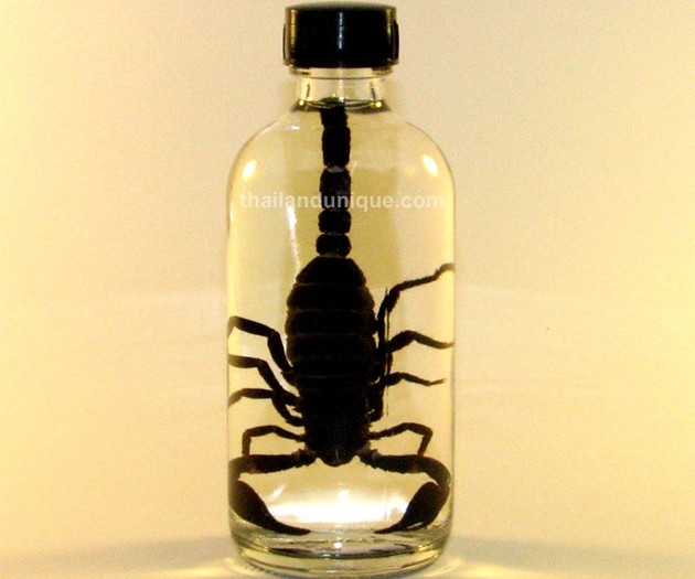 Scorpion vodka