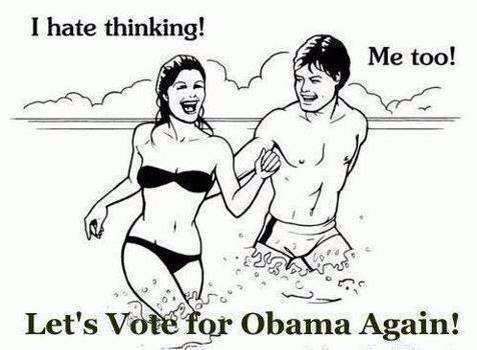 I dislike Obama and his supporters.