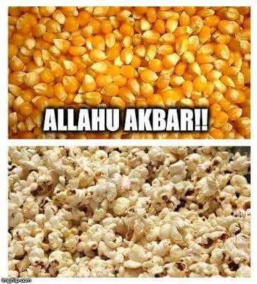 Tuesday meme about pop corn - Allahu Akbari! Hardcore