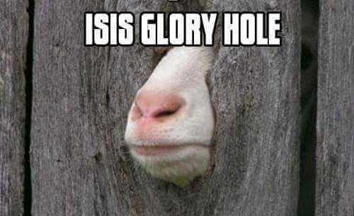 Savage AF Friday meme about ISIS members and their relationships with sheep