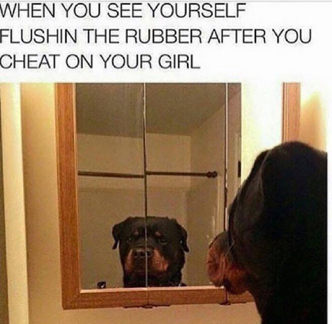 savage meme you catch feelings for someone you can t have - When You See Yourself Flushin The Rubber After You Cheat On Your Girl