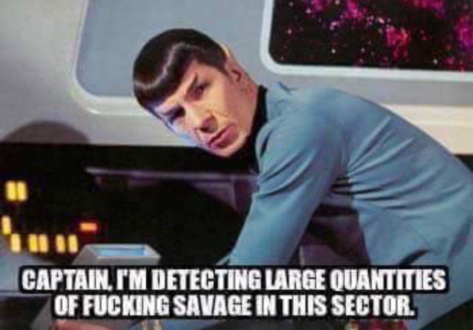 memes - detecting much win in this sector - Captain. I'M Detecting Large Quantities Of Fucking Savage In This Sector.