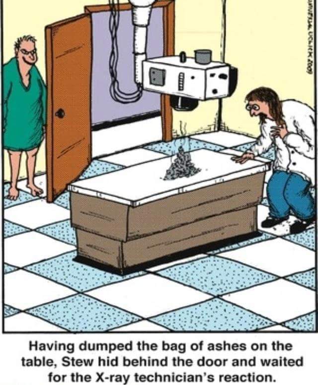 Savage Meme of far side radiology - Suflal Uclick 2009 Having dumped the bag of ashes on the table, Stew hid behind the door and waited for the Xray technician's reaction.