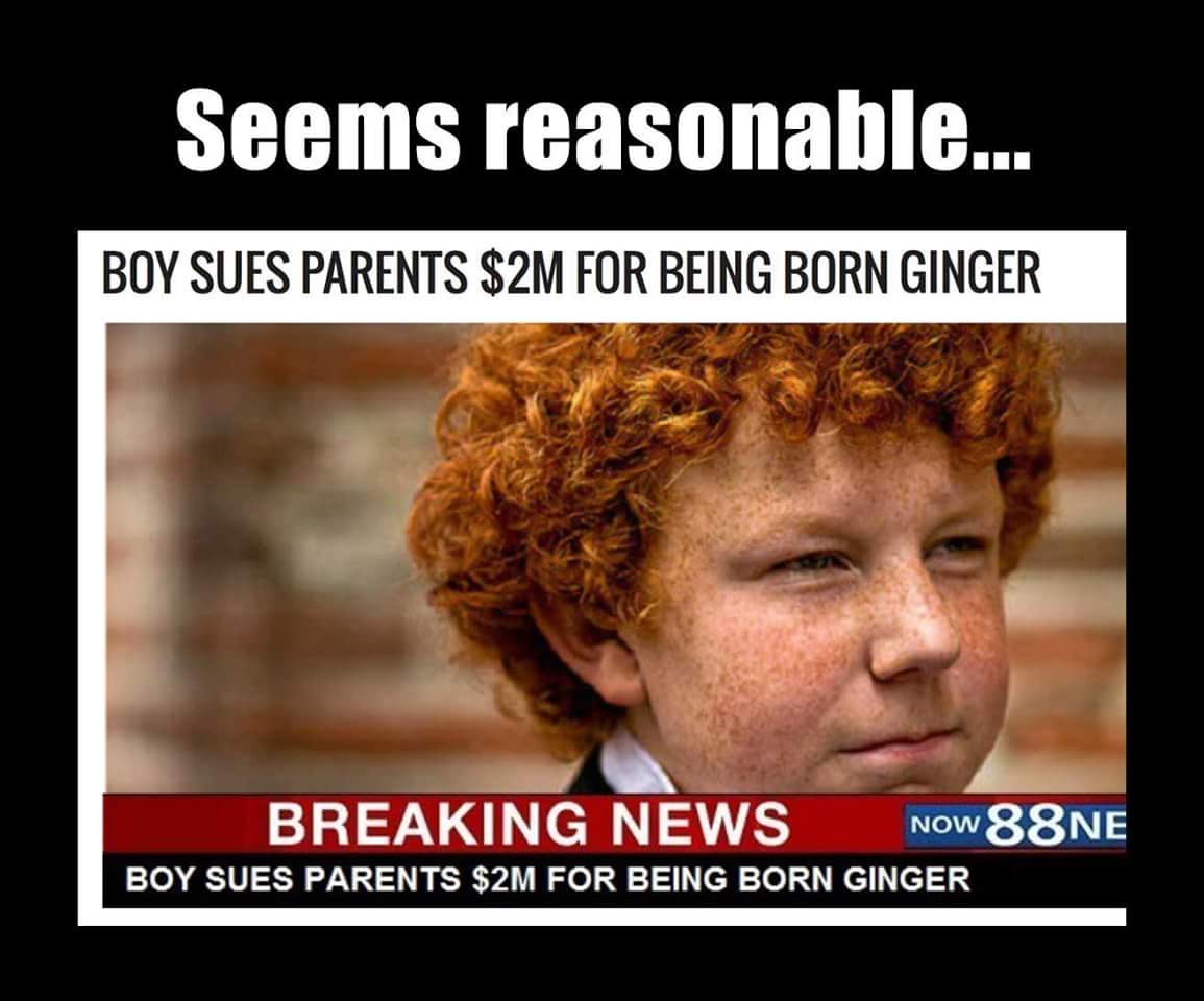 memes - red headed boy - Seems reasonable... Boy Sues Parents $2M For Being Born Ginger Breaking News Now 88NE Boy Sues Parents $2M For Being Born Ginger