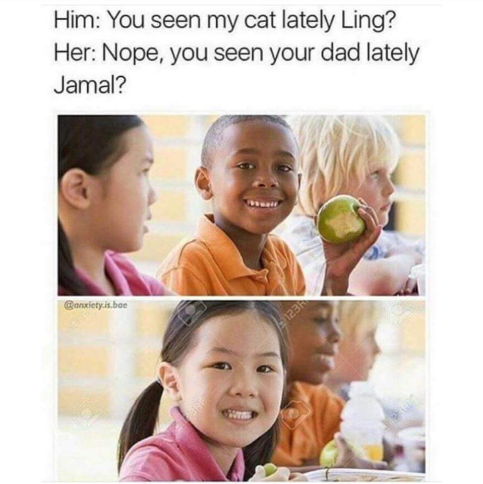 memes - you seen my cat lately ling - Him You seen my cat lately Ling? Her Nope, you seen your dad lately Jamal? anxiety.is.boe