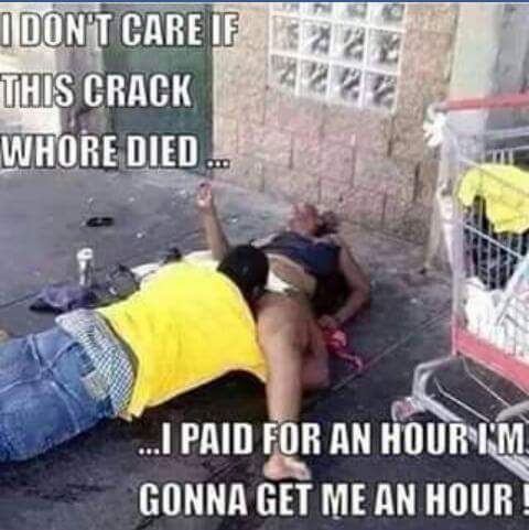 memes - successful black man meme - I Don'T Care If Am This Crack Whore Died. ....I Paid For An Hour Im Gonna Get Me An Hour!