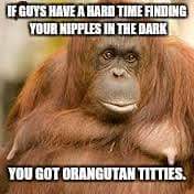Tuesday meme about having orangutan tits