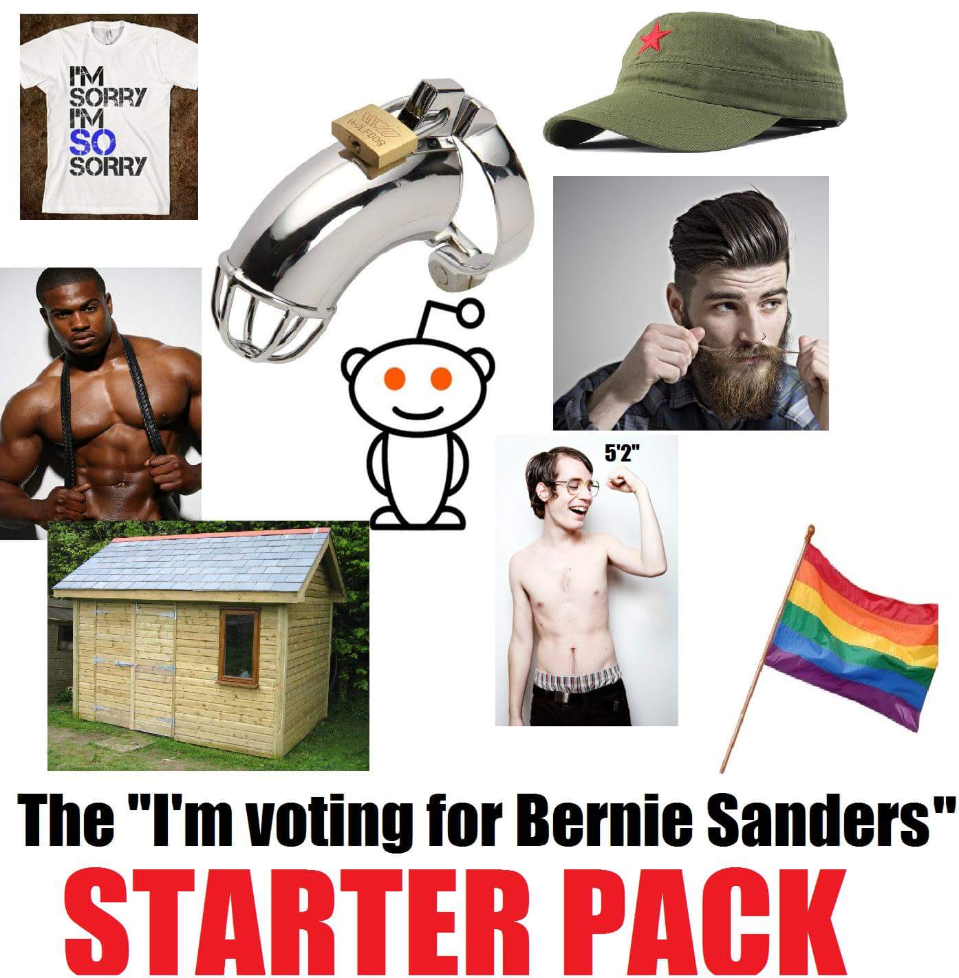 Tuesday meme about the people who vote for Bernie Sanders being gay and short