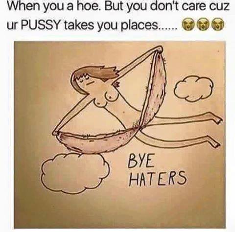 offensive meme you a hoe but you don t care - When you a hoe. But you don't care cuz ur Pussy takes you places...... Bye Haters