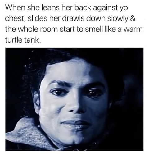offensive meme smell like a turtle tank meme - When she leans her back against yo chest, slides her drawls down slowly & the whole room start to smell a warm turtle tank.