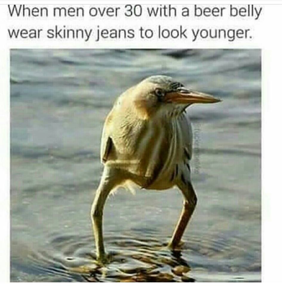 memes - funny long legged bird - When men over 30 with a beer belly wear skinny jeans to look younger.