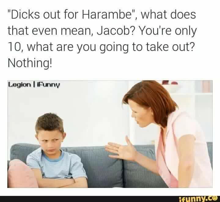 memes - kid not listening to mom - "Dicks out for Harambe", what does that even mean, Jacob? You're only 10, what are you going to take out? Nothing! Legion | iFunny ifunny.co