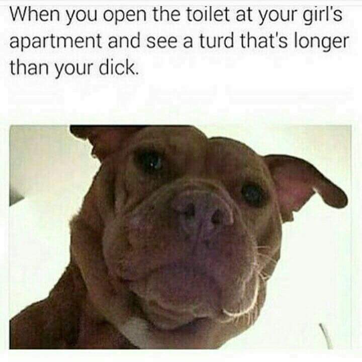 memes - he goes too deep meme - When you open the toilet at your girl's apartment and see a turd that's longer than your dick.