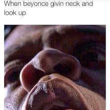 jay z beyonce head - When beyonce givin neck and look up