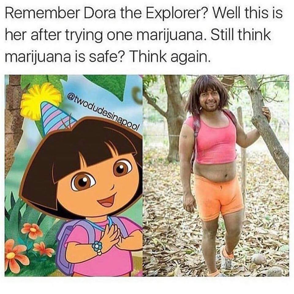 memes - dora the explorer meme - Remember Dora the Explorer? Well this is her after trying one marijuana. Still think marijuana is safe? Think again.