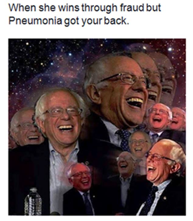 memes - dank bernie sanders - When she wins through fraud but Pneumonia got your back.