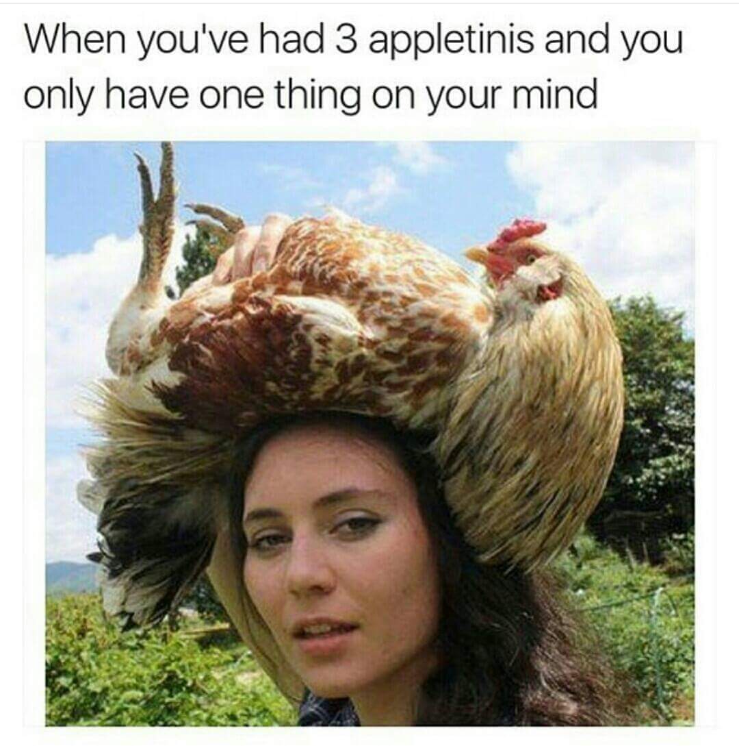 Funny meme of girl with chicken on her head.
