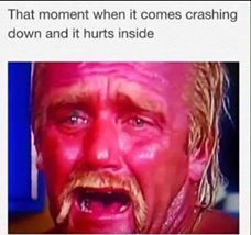 memes - comes crashing down and it hurts inside - That moment when it comes crashing down and it hurts inside