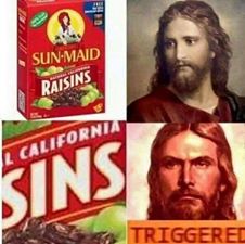 savage meme about dank christian memes - SunMaid Raisins California Sins Triggered