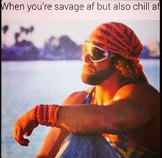 meme -  macho man sunset - When you're savage af but also chill af