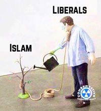 meme -  liberals islam Liberals Islam