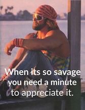 meme -  macho man randy savage - When its so savage you need a minute to appreciate it.