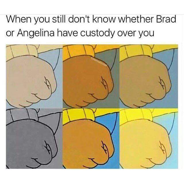 meme -  cartoon - When you still don't know whether Brad or Angelina have custody over you V