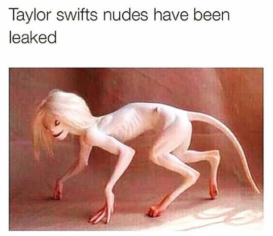 Savage meme photo caption - Taylor swifts nudes have been leaked