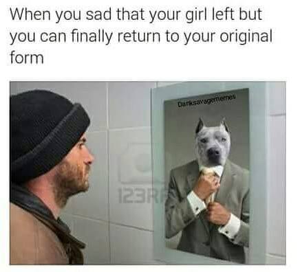 Savage meme mirror reflection different person - When you sad that your girl left but you can finally return to your original form Darksavagernernes 123